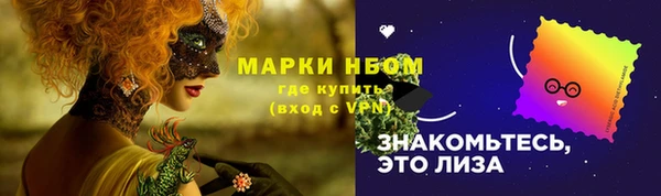 гашик Видное