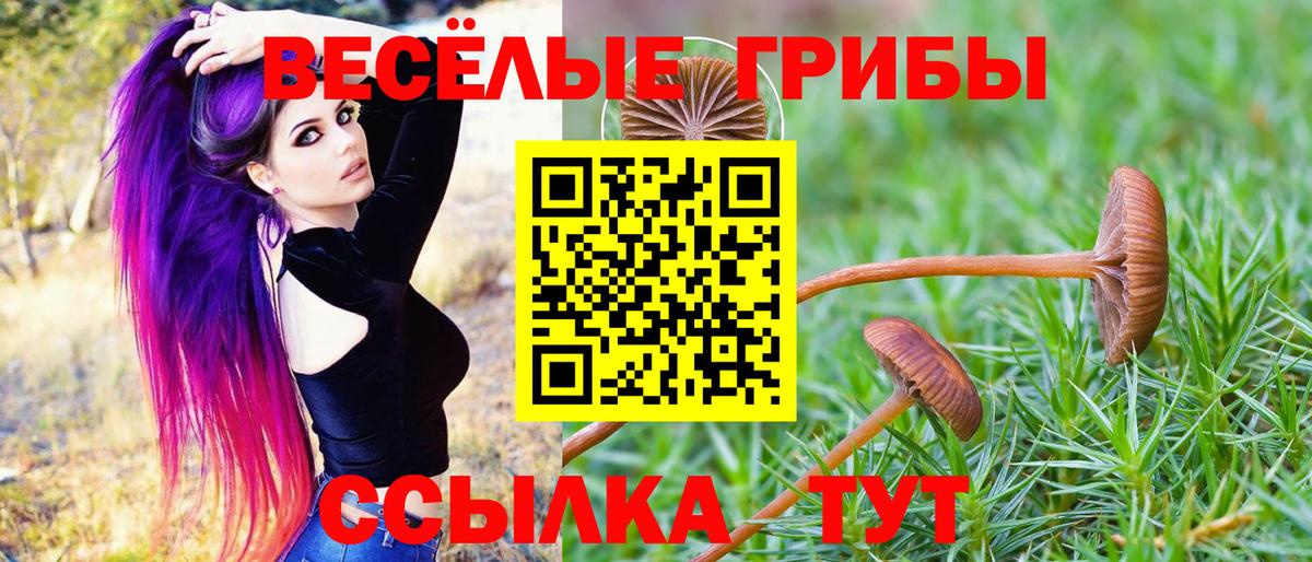 Ханты-Мансийск  цена   Вход с VPN  Галлюциногенные грибы GOLDEN TEACHER 