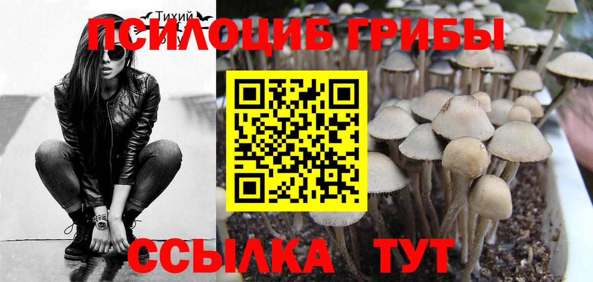 Галлюциногенные грибы GOLDEN TEACHER Ханты-Мансийск